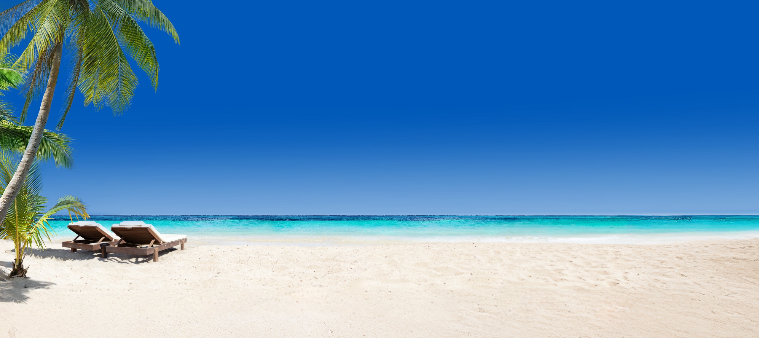 Reisen günstig buchen